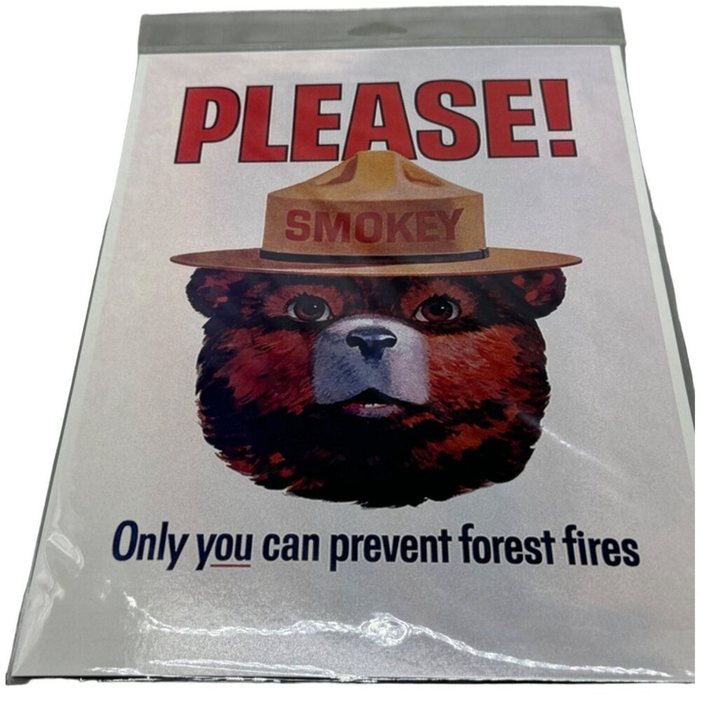 smoky the bear print please only you can prevent forest fires 9x12" READ NEW